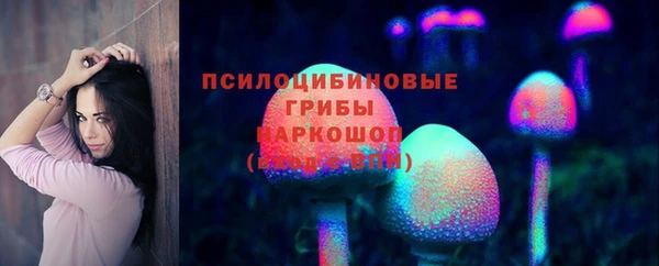 дживик Белоозёрский