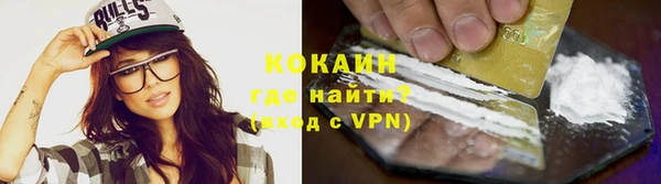 трава Белокуриха