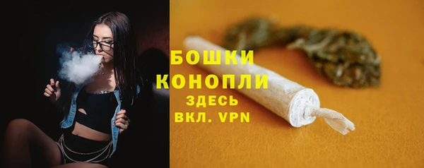 трава Белокуриха