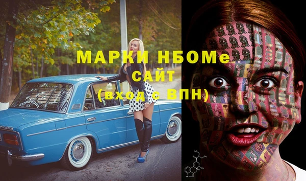 трава Белокуриха
