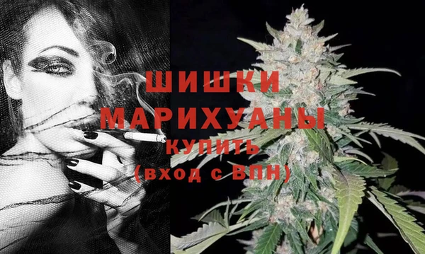 трава Белокуриха